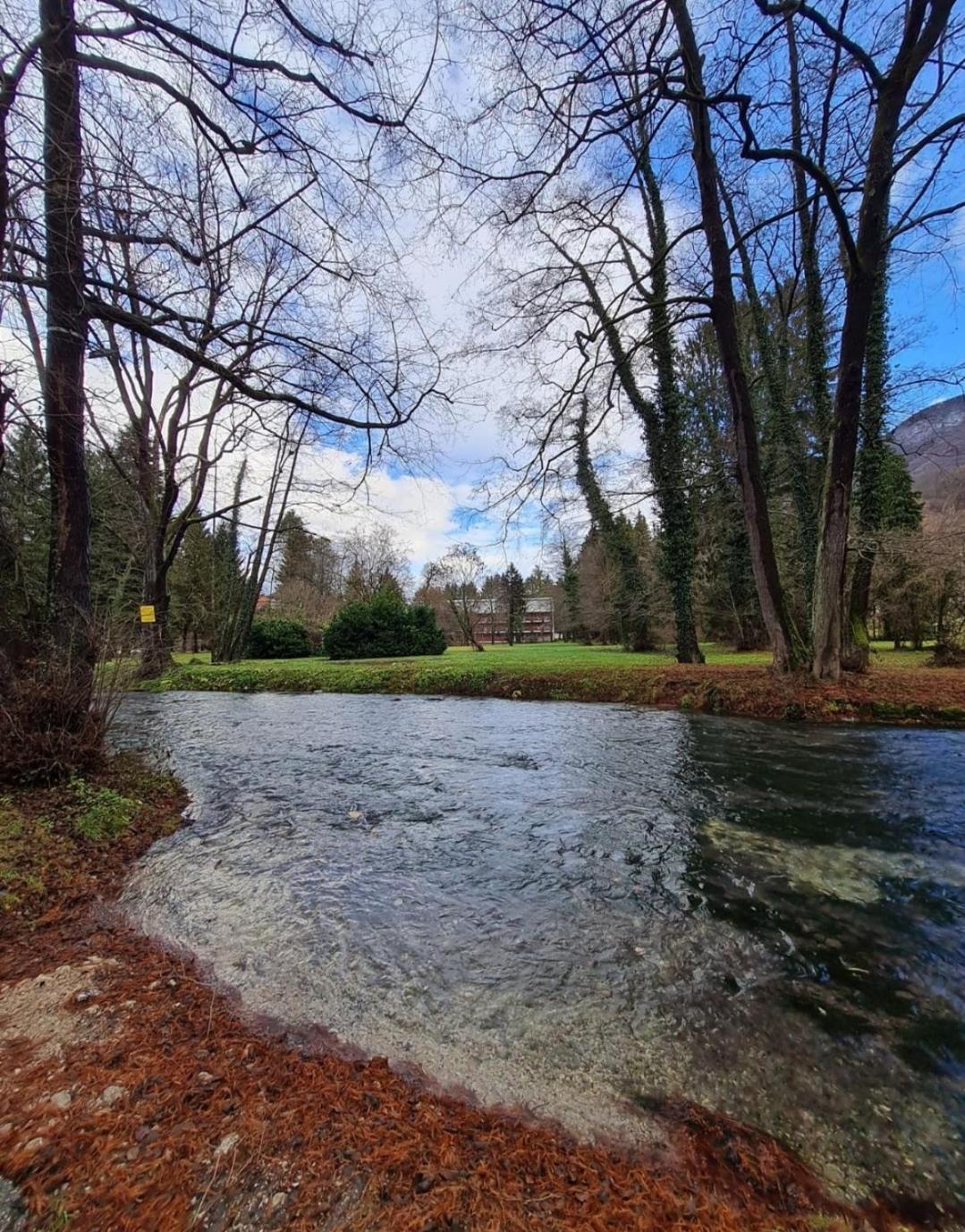 Brvnara Na Obali Reke Drine Vila Beserovina Exterior foto
